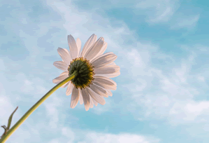 Bitcoin Price Dip Or New Bear Market: Is This a Dip, or the Dawn of a New Era?